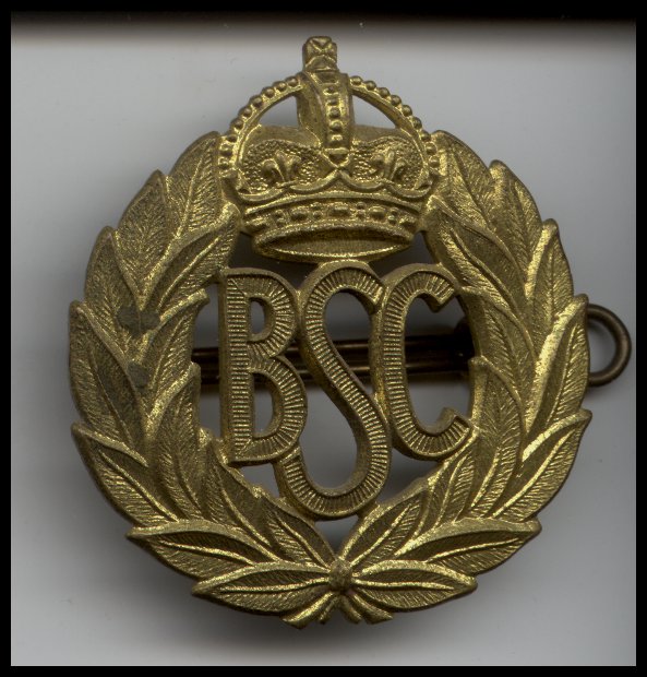 Description: C:\my web site\mehbooksdfcx_files\bscbadge.jpg